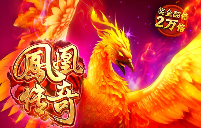 6t体育下载